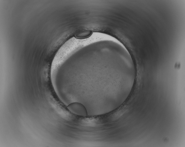 X0000110730065200907101438