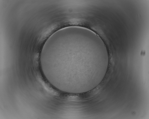 X0000110730066200907101438