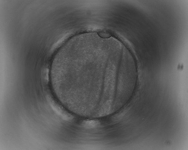 X0000110730067200907101438