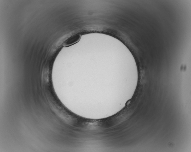 X0000110730068200907101438