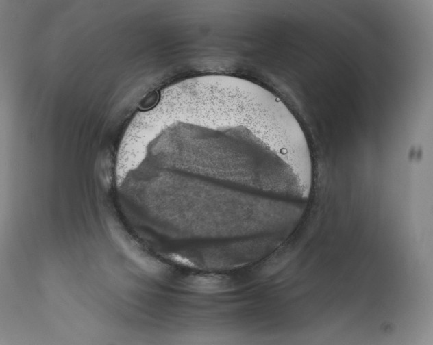 X0000110730069200907101438