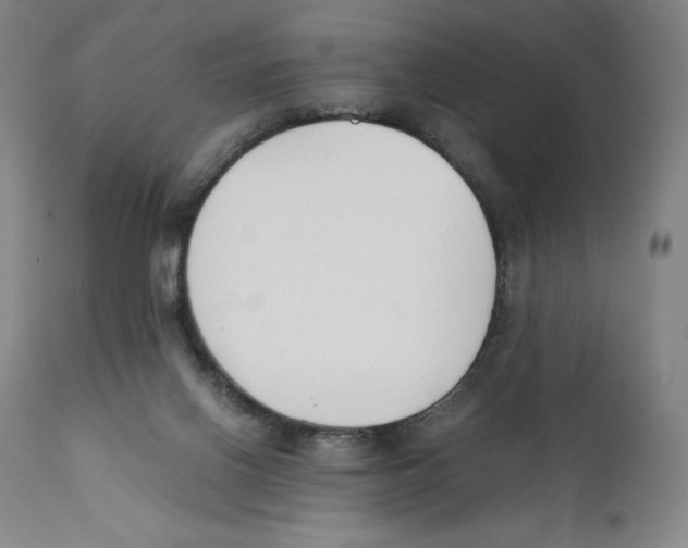 X0000110730070200907101438