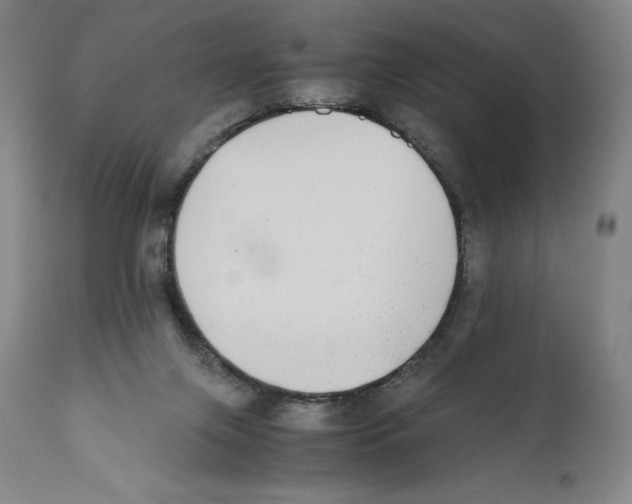 X0000110730071200907101438
