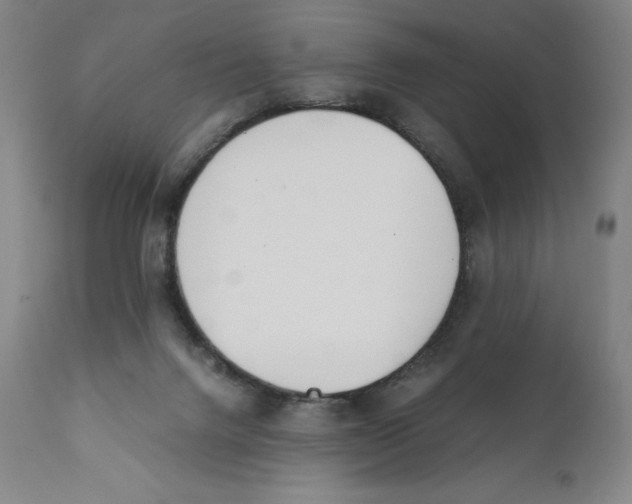 X0000110730072200907101438