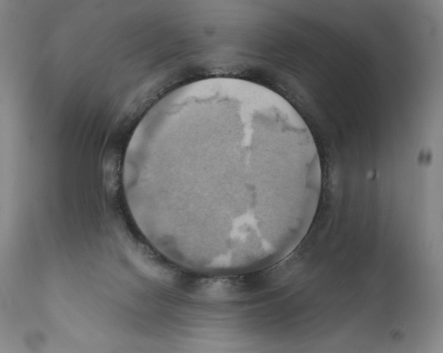 X0000110730074200907101438