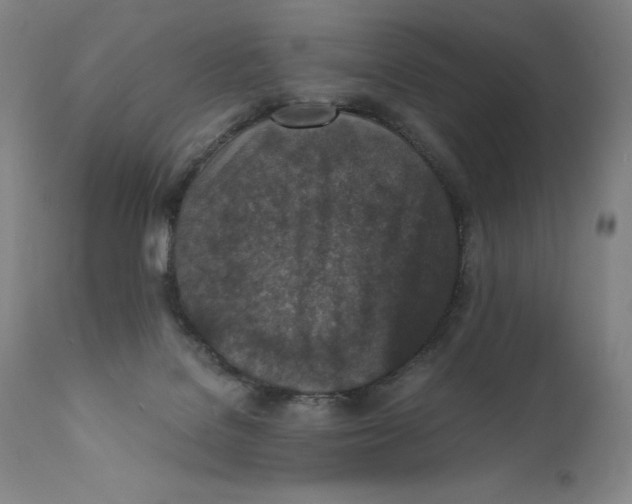 X0000110730076200907101438