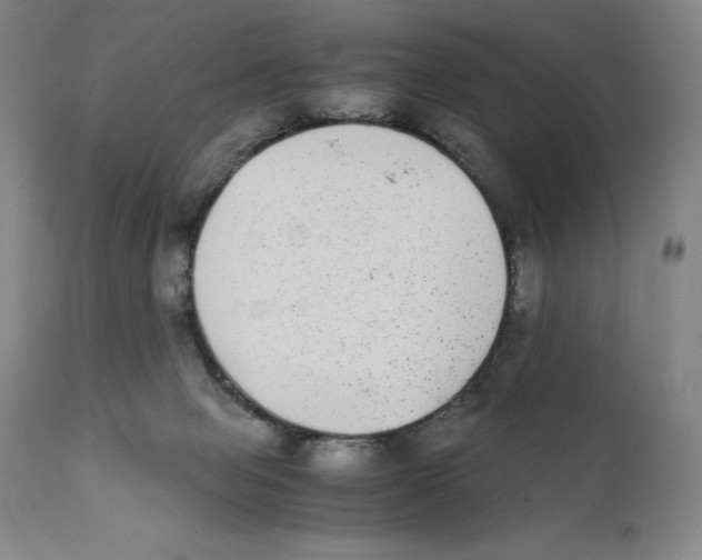 X0000110730077200907101438