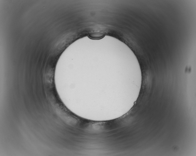 X0000110730078200907101438