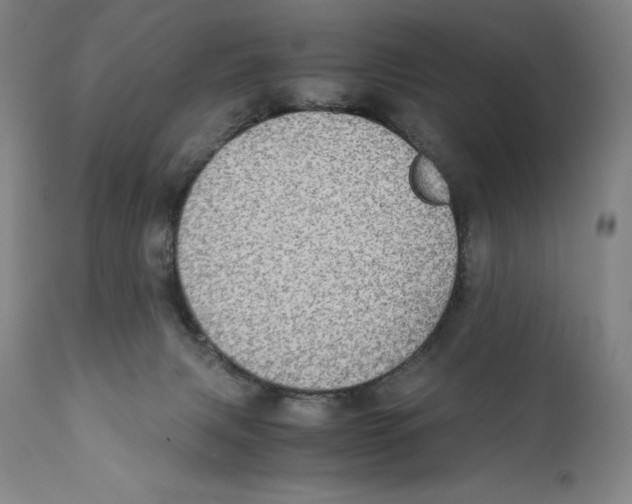 X0000110730079200907101438
