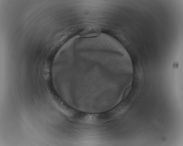 X0000110730080200907101438