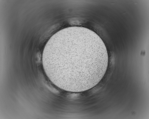 X0000110730081200907101438
