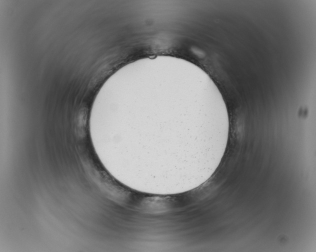 X0000110730082200907101438