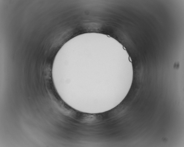 X0000110730083200907101438