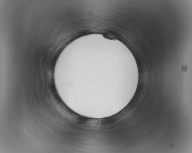 X0000110730084200907101438