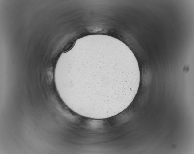 X0000110730085200907101438