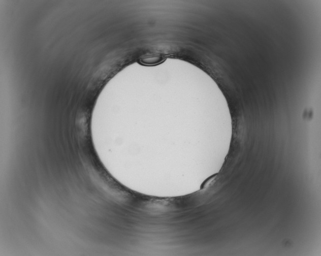 X0000110730086200907101438