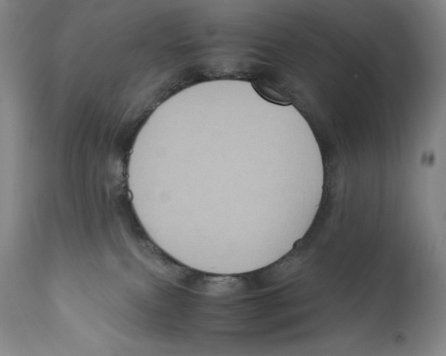 X0000110730087200907101438