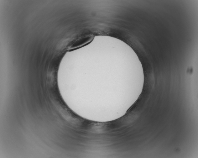 X0000110730088200907101438