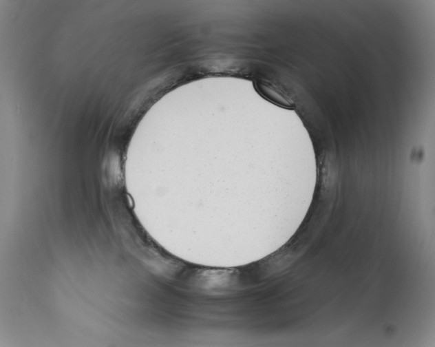 X0000110730089200907101438