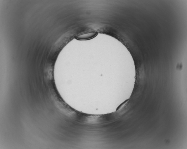 X0000110730090200907101438