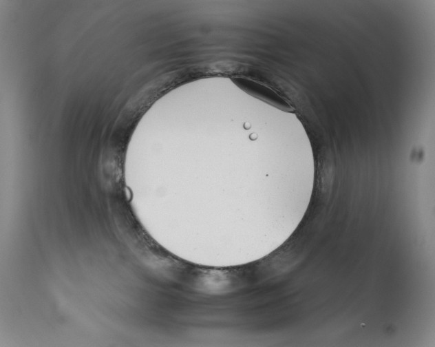 X0000110730091200907101438