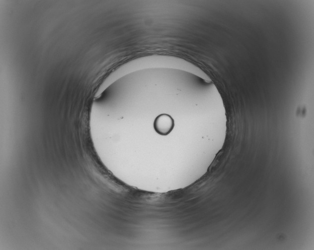 X0000110730092200907101439