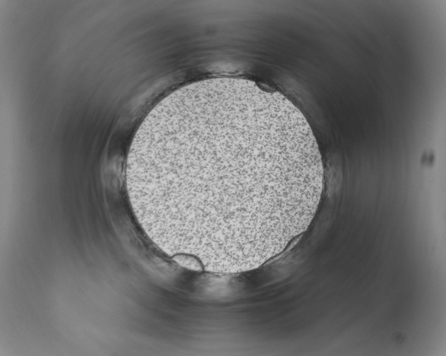 X0000110730093200907101439