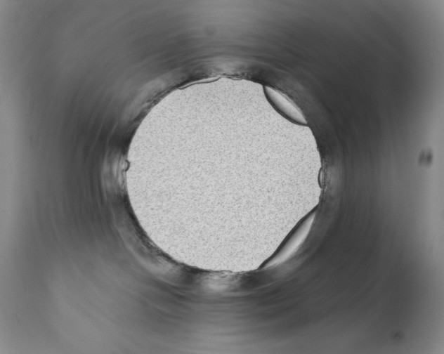 X0000110730094200907101439