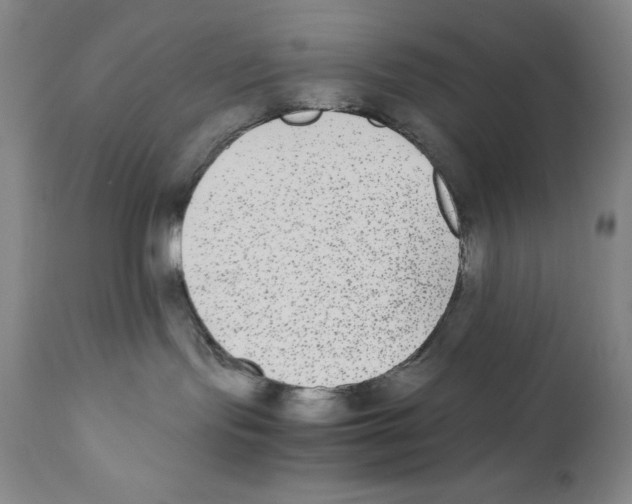 X0000110730095200907101439