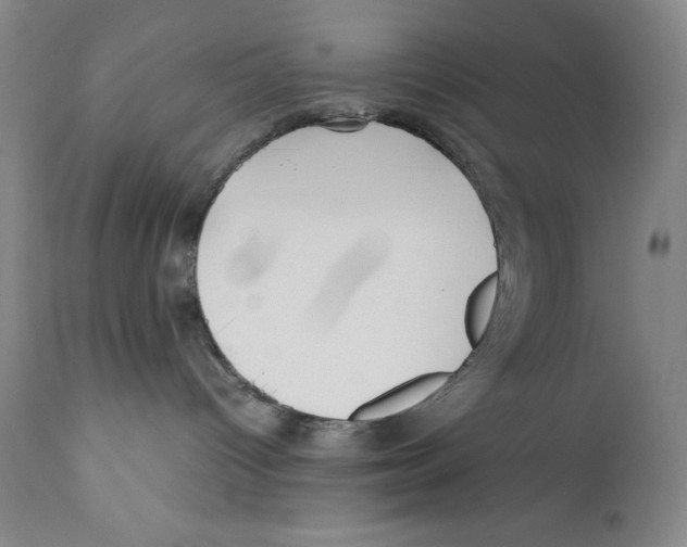 X0000110730096200907101439