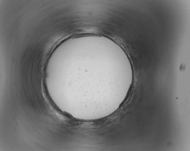 X0000110730097200907101438