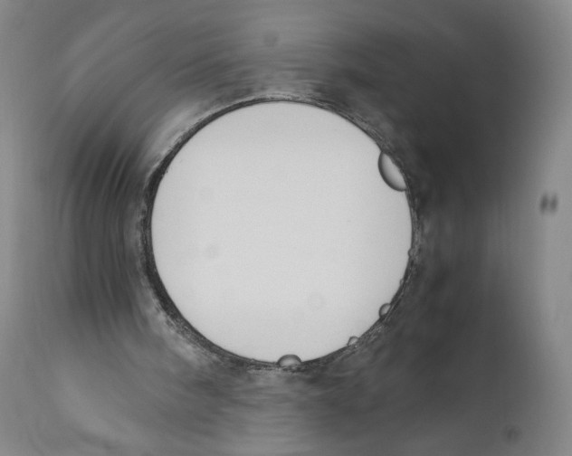 X0000110730098200907101438