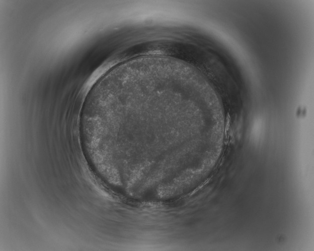 X0000110730099200907101438