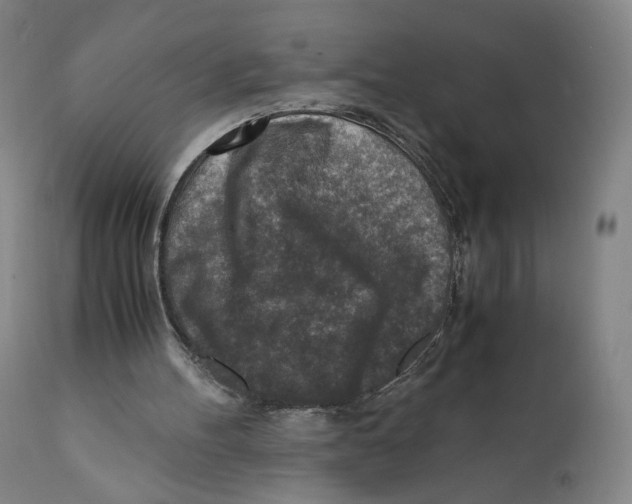 X0000110730100200907101438