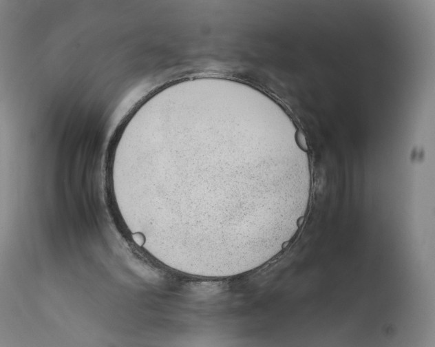 X0000110730102200907101438