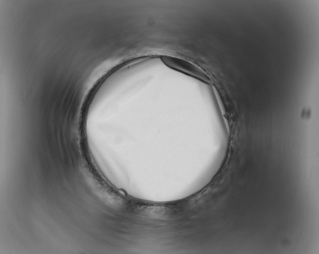 X0000110730104200907101438