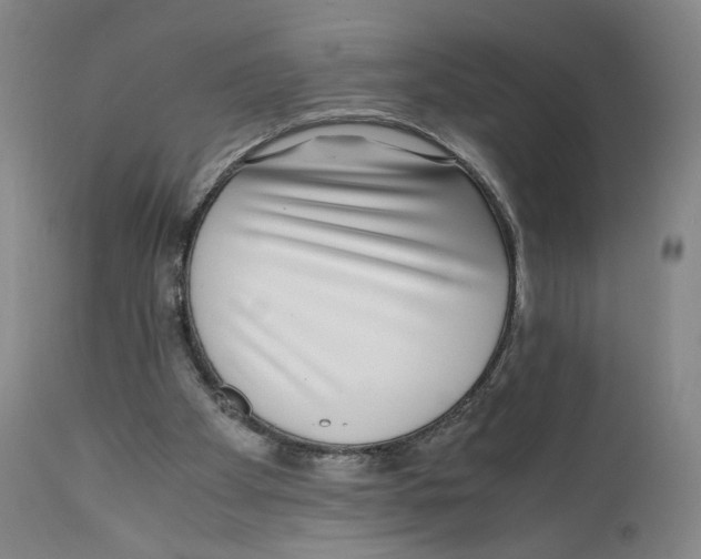 X0000110730105200907101438