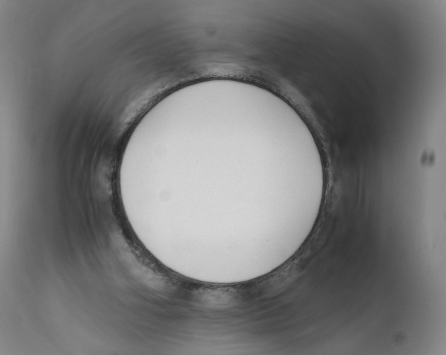 X0000110730106200907101438