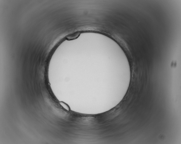 X0000110730108200907101438