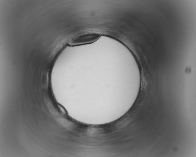 X0000110730109200907101438