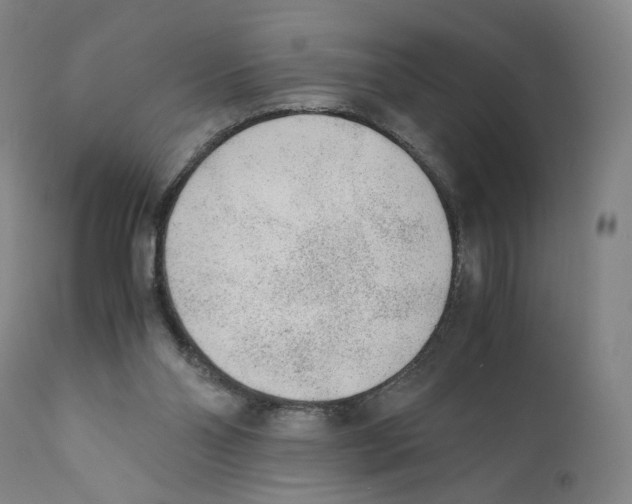 X0000110730110200907101438