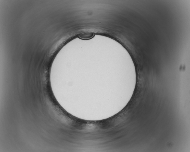 X0000110730111200907101438