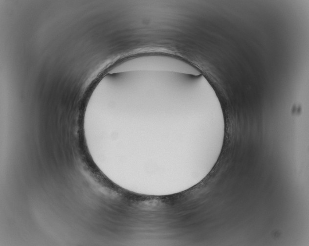 X0000110730112200907101438