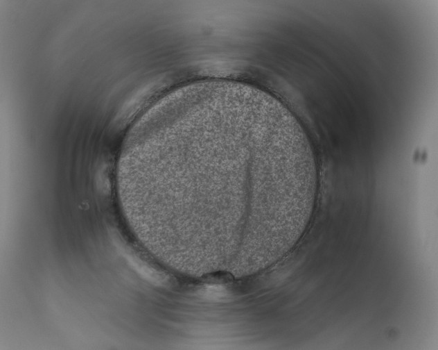X0000110730114200907101437