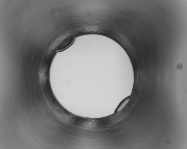 X0000110730116200907101437