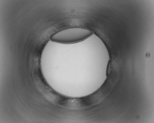 X0000110730117200907101437