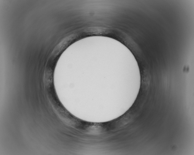 X0000110730119200907101437
