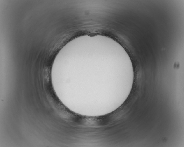 X0000110730121200907101437