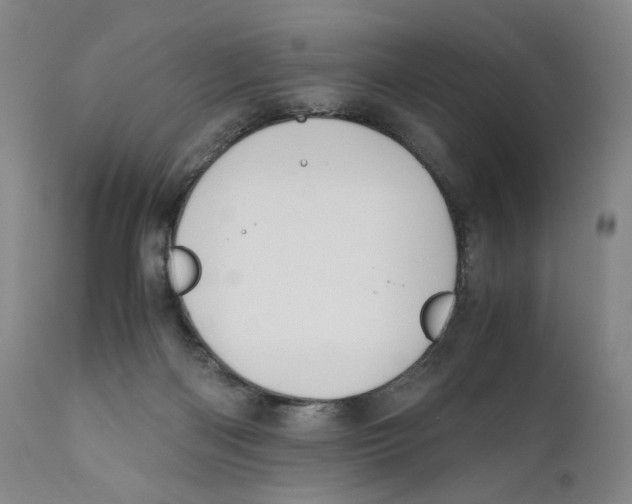 X0000110730122200907101437