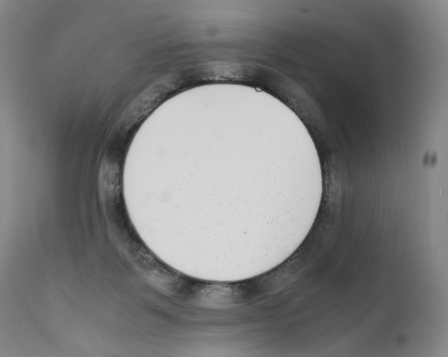 X0000110730123200907101437